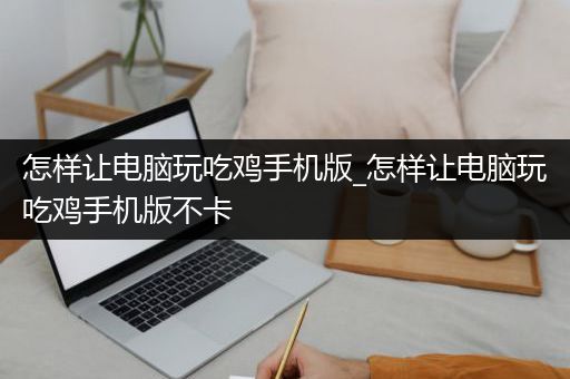 怎样让电脑玩吃鸡手机版_怎样让电脑玩吃鸡手机版不卡
