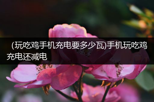（玩吃鸡手机充电要多少瓦)手机玩吃鸡充电还减电