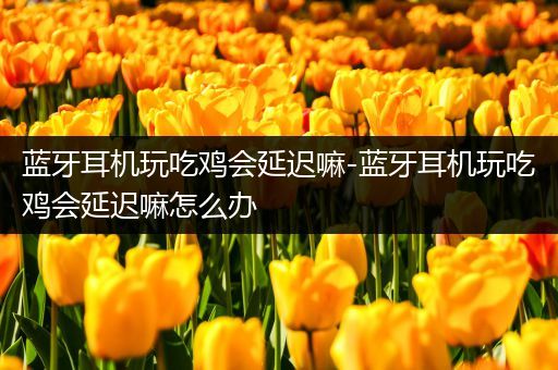蓝牙耳机玩吃鸡会延迟嘛-蓝牙耳机玩吃鸡会延迟嘛怎么办