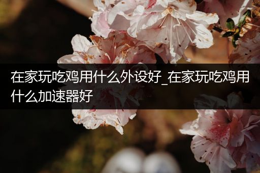 在家玩吃鸡用什么外设好_在家玩吃鸡用什么加速器好