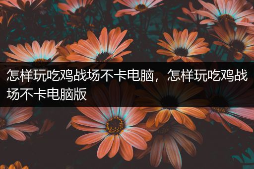 怎样玩吃鸡战场不卡电脑，怎样玩吃鸡战场不卡电脑版