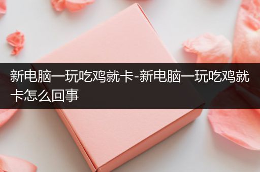 新电脑一玩吃鸡就卡-新电脑一玩吃鸡就卡怎么回事