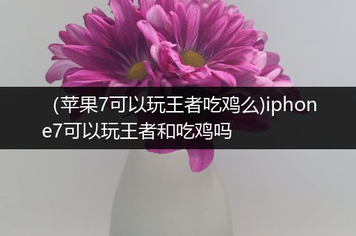 （苹果7可以玩王者吃鸡么)iphone7可以玩王者和吃鸡吗