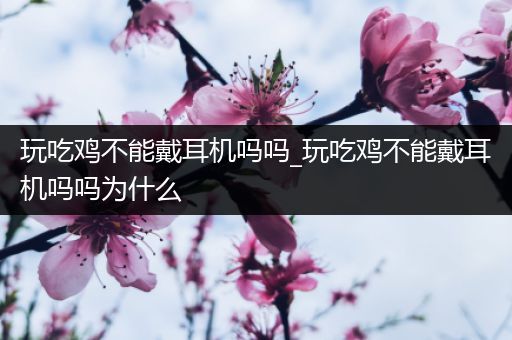玩吃鸡不能戴耳机吗吗_玩吃鸡不能戴耳机吗吗为什么