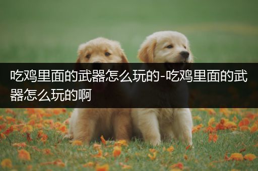 吃鸡里面的武器怎么玩的-吃鸡里面的武器怎么玩的啊
