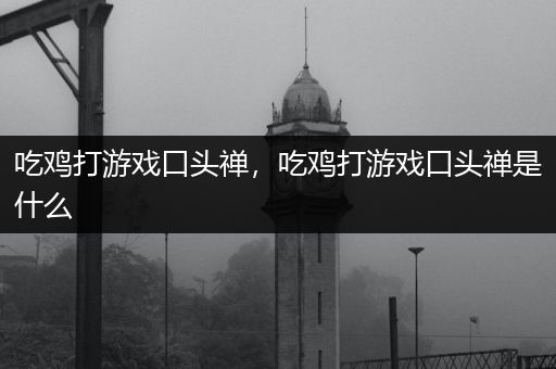 吃鸡打游戏口头禅，吃鸡打游戏口头禅是什么