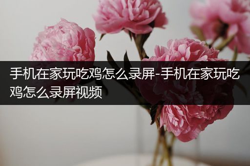 手机在家玩吃鸡怎么录屏-手机在家玩吃鸡怎么录屏视频