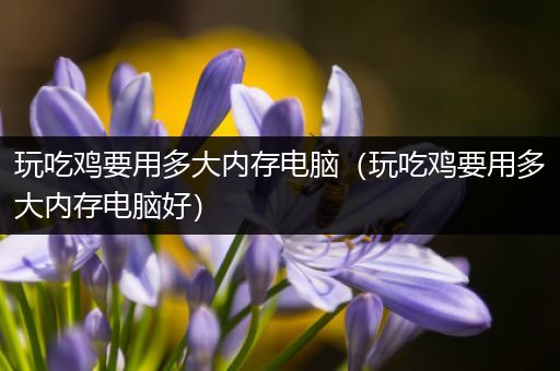 玩吃鸡要用多大内存电脑（玩吃鸡要用多大内存电脑好）