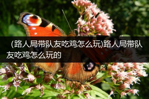 （路人局带队友吃鸡怎么玩)路人局带队友吃鸡怎么玩的