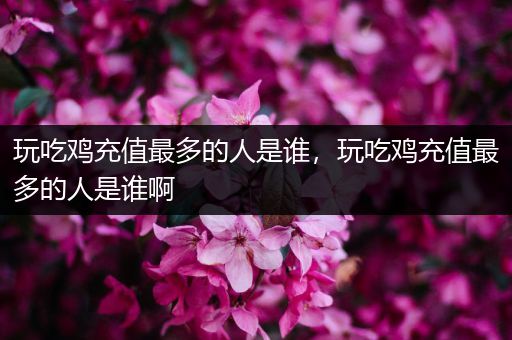 玩吃鸡充值最多的人是谁，玩吃鸡充值最多的人是谁啊