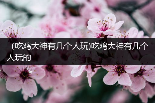 （吃鸡大神有几个人玩)吃鸡大神有几个人玩的