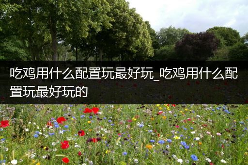 吃鸡用什么配置玩最好玩_吃鸡用什么配置玩最好玩的