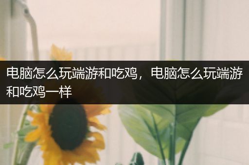 电脑怎么玩端游和吃鸡，电脑怎么玩端游和吃鸡一样