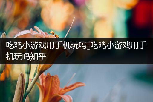 吃鸡小游戏用手机玩吗_吃鸡小游戏用手机玩吗知乎