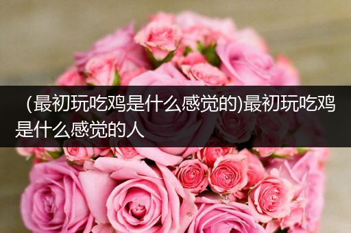 （最初玩吃鸡是什么感觉的)最初玩吃鸡是什么感觉的人
