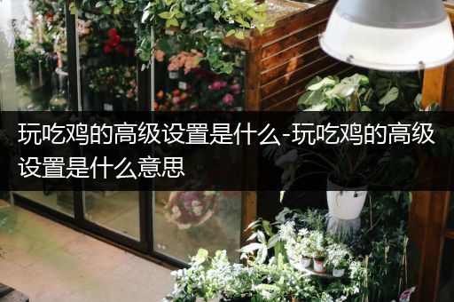 玩吃鸡的高级设置是什么-玩吃鸡的高级设置是什么意思