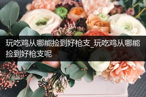 玩吃鸡从哪能捡到好枪支_玩吃鸡从哪能捡到好枪支呢