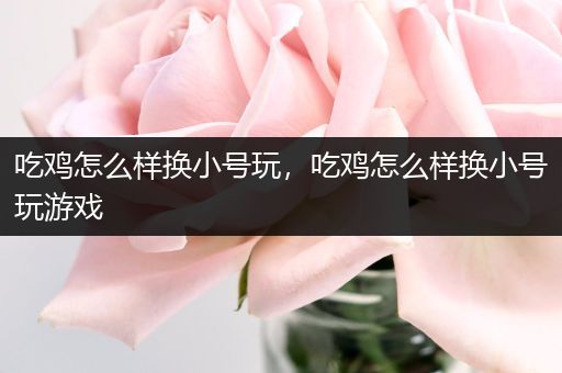 吃鸡怎么样换小号玩，吃鸡怎么样换小号玩游戏