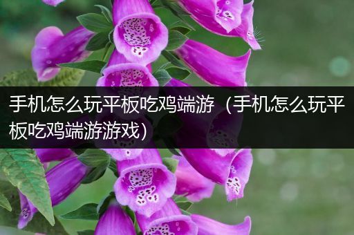 手机怎么玩平板吃鸡端游（手机怎么玩平板吃鸡端游游戏）