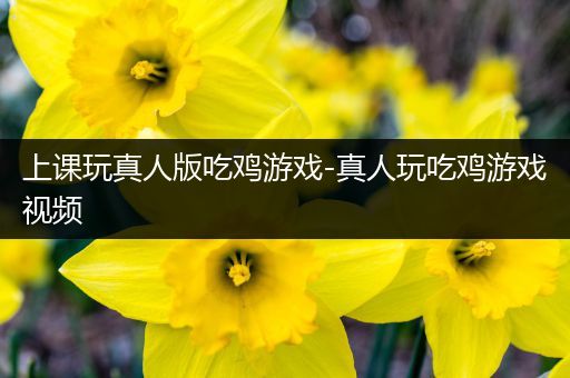 上课玩真人版吃鸡游戏-真人玩吃鸡游戏视频