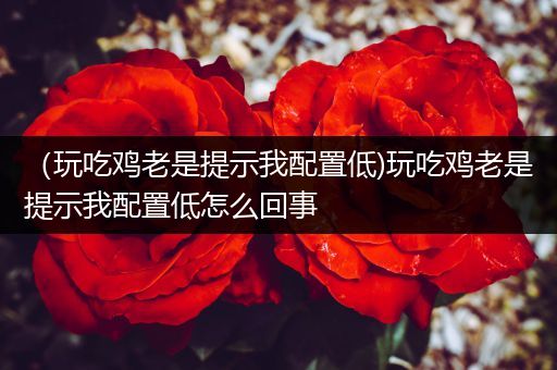 （玩吃鸡老是提示我配置低)玩吃鸡老是提示我配置低怎么回事