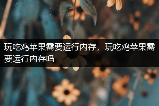 玩吃鸡苹果需要运行内存，玩吃鸡苹果需要运行内存吗