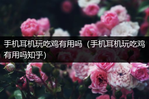 手机耳机玩吃鸡有用吗（手机耳机玩吃鸡有用吗知乎）