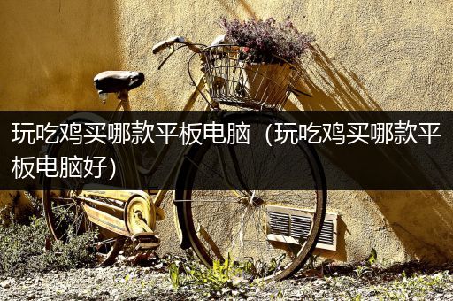 玩吃鸡买哪款平板电脑（玩吃鸡买哪款平板电脑好）