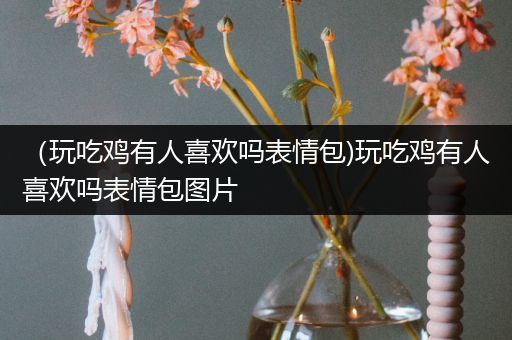 （玩吃鸡有人喜欢吗表情包)玩吃鸡有人喜欢吗表情包图片