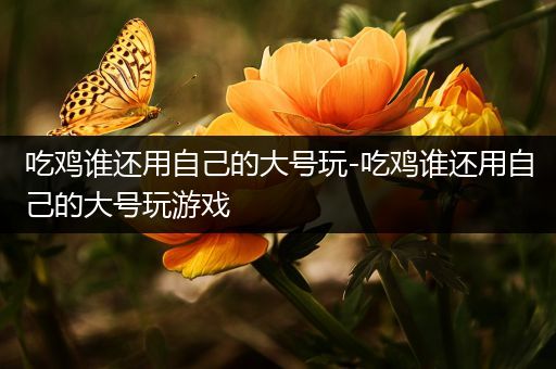 吃鸡谁还用自己的大号玩-吃鸡谁还用自己的大号玩游戏