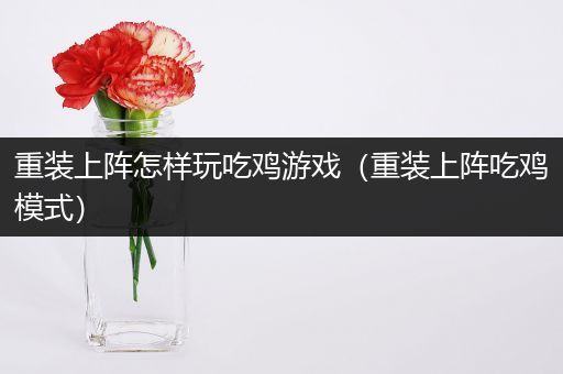 重装上阵怎样玩吃鸡游戏（重装上阵吃鸡模式）
