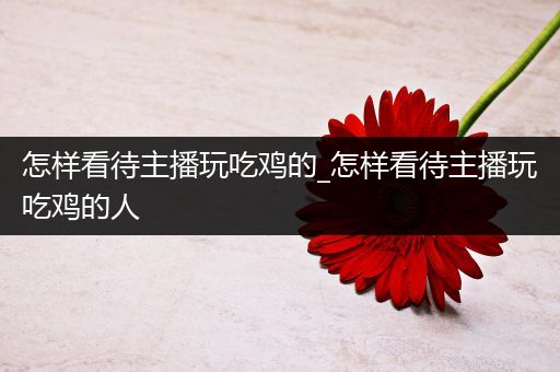 怎样看待主播玩吃鸡的_怎样看待主播玩吃鸡的人