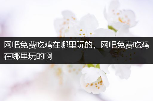 网吧免费吃鸡在哪里玩的，网吧免费吃鸡在哪里玩的啊