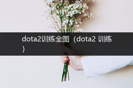 dota2训练全图（dota2 训练）