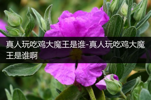 真人玩吃鸡大魔王是谁-真人玩吃鸡大魔王是谁啊