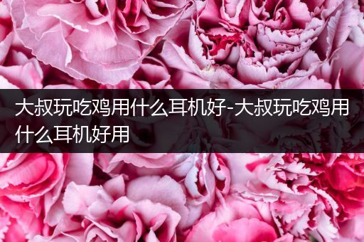 大叔玩吃鸡用什么耳机好-大叔玩吃鸡用什么耳机好用