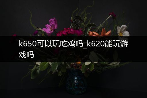 k650可以玩吃鸡吗_k620能玩游戏吗
