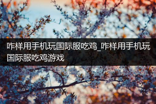 咋样用手机玩国际服吃鸡_咋样用手机玩国际服吃鸡游戏