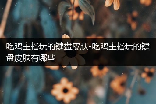 吃鸡主播玩的键盘皮肤-吃鸡主播玩的键盘皮肤有哪些