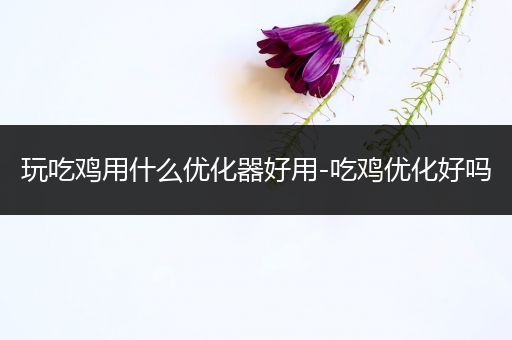 玩吃鸡用什么优化器好用-吃鸡优化好吗