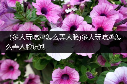 （多人玩吃鸡怎么弄人脸)多人玩吃鸡怎么弄人脸识别