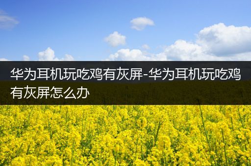 华为耳机玩吃鸡有灰屏-华为耳机玩吃鸡有灰屏怎么办