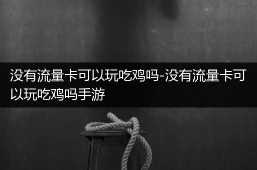 没有流量卡可以玩吃鸡吗-没有流量卡可以玩吃鸡吗手游