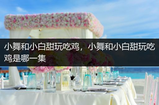 小舞和小白甜玩吃鸡，小舞和小白甜玩吃鸡是哪一集