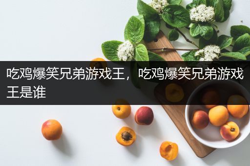 吃鸡爆笑兄弟游戏王，吃鸡爆笑兄弟游戏王是谁