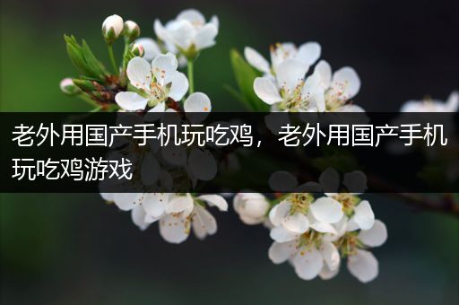 老外用国产手机玩吃鸡，老外用国产手机玩吃鸡游戏