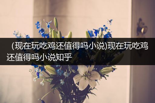 （现在玩吃鸡还值得吗小说)现在玩吃鸡还值得吗小说知乎