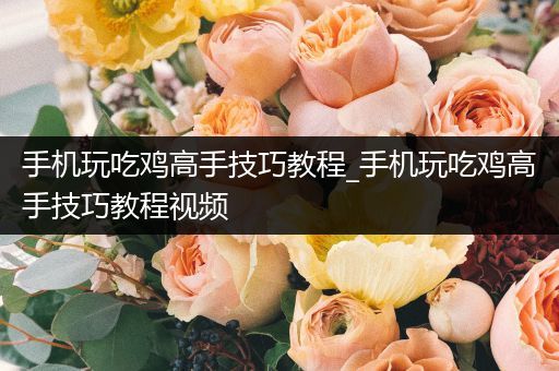手机玩吃鸡高手技巧教程_手机玩吃鸡高手技巧教程视频