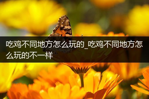 吃鸡不同地方怎么玩的_吃鸡不同地方怎么玩的不一样