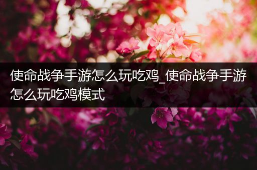 使命战争手游怎么玩吃鸡_使命战争手游怎么玩吃鸡模式